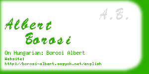 albert borosi business card